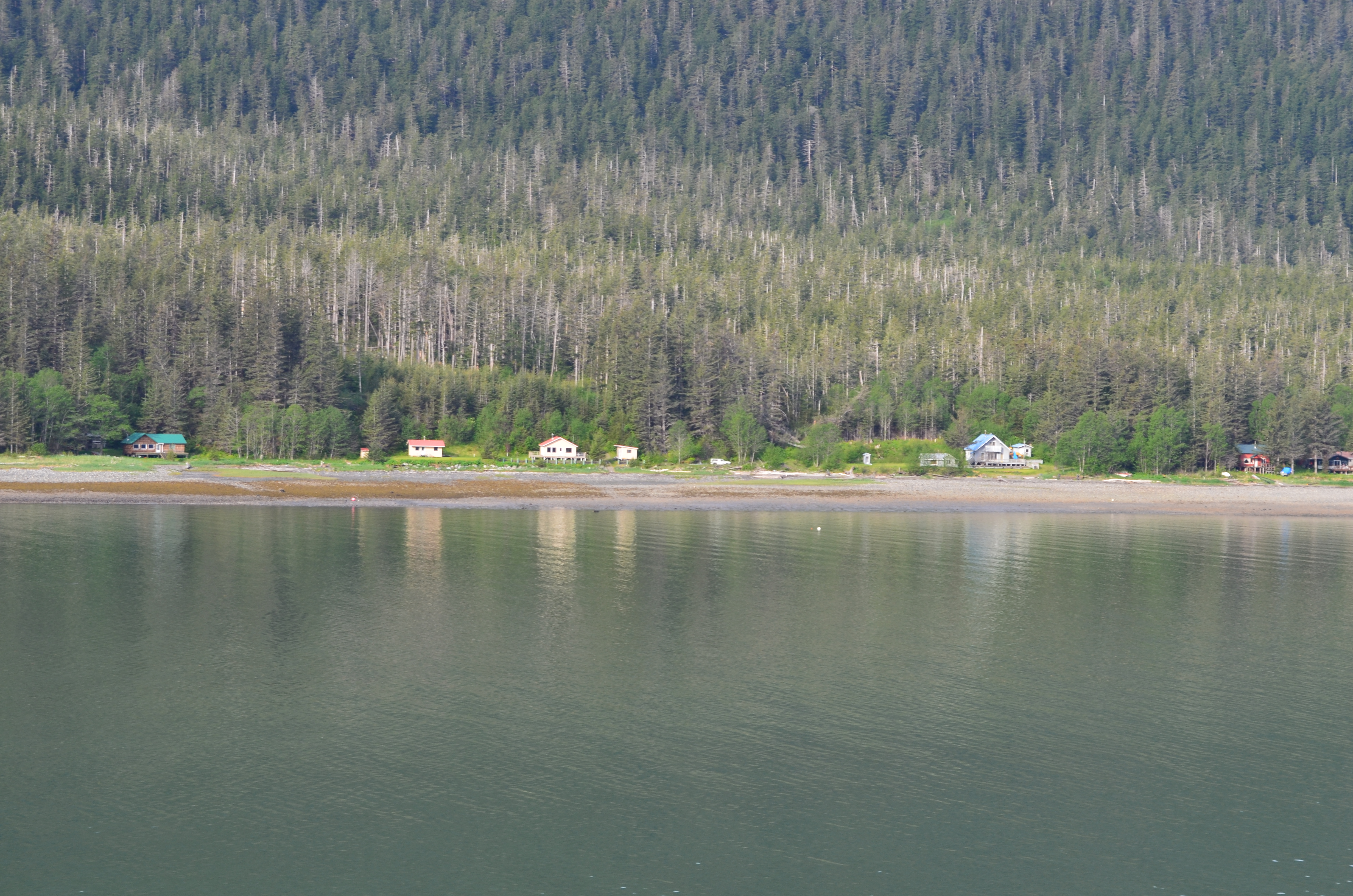 ./2017/08 - Alaska Cruise/08 - Juneau/DSC_0820.JPG